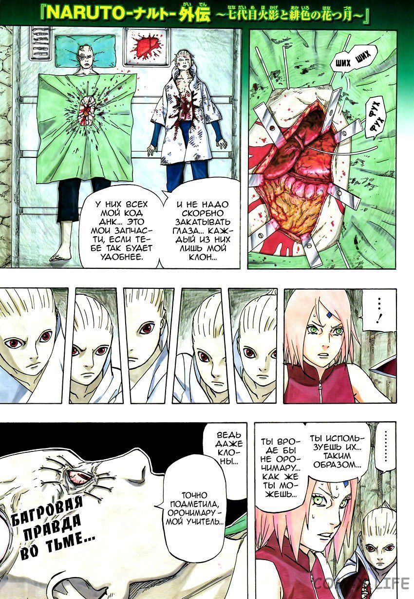 Naruto 705 Pdf